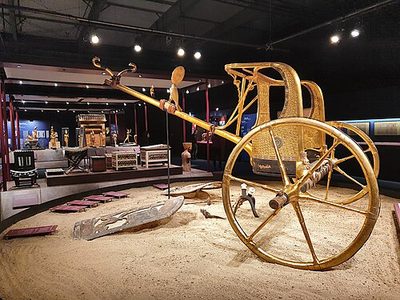 以展览、科研、繁育为目的的濒危物种临时进出口:证书类型、复运与担保